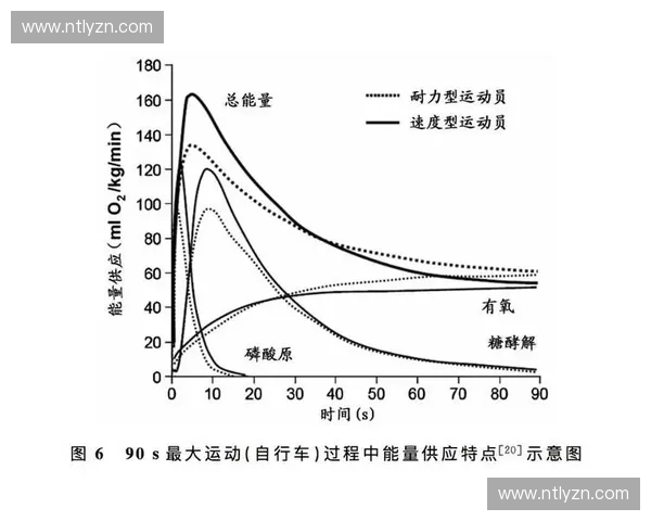 科学规划运动营养摄入策略全面提升体能恢复与运动表现的实践指南