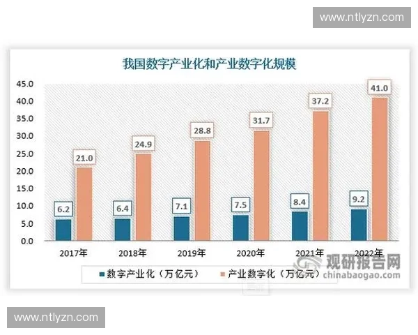 运动员经纪行业发展趋势分析与未来机会探索